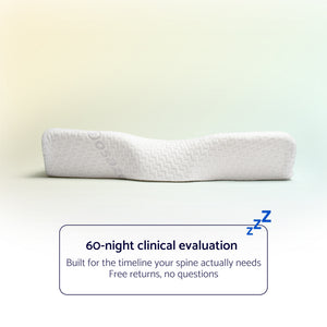Dosaze OrthoCurve Pillow
