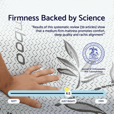 DreamAlign Back Relief Mattress Topper.