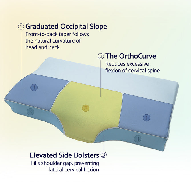 Pillow zones: occipital slope, OrthoCurve, side bolsters