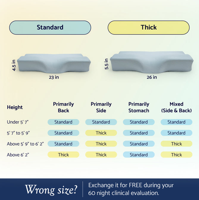 Standard vs Thick size guide